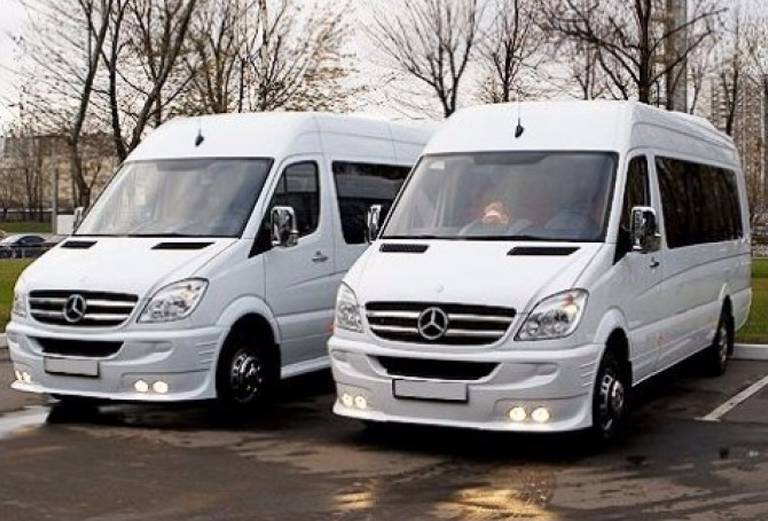 Заказ микроавтобуса для перевозки людей из Нижнекамска в Якорь
